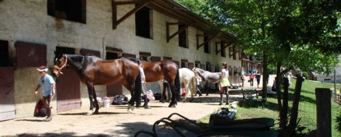 Stage d'équitation au Centre Équestre du Moulin