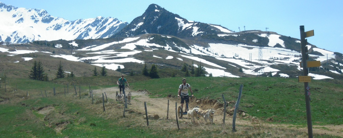 Mushing dans la vallée du Haut Bréda et au Pleynet