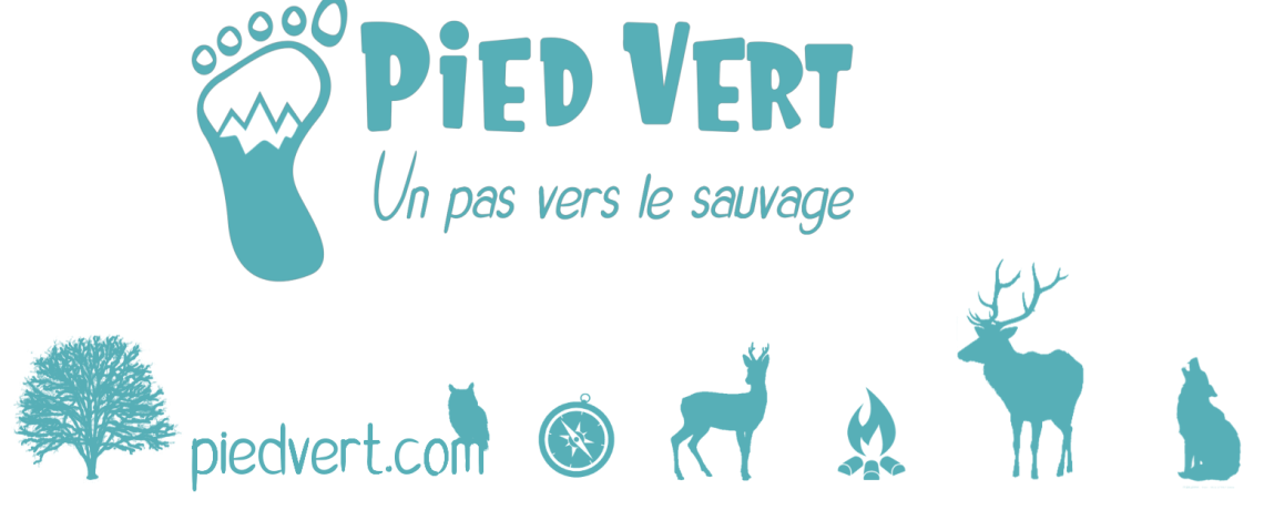 Accompagnateurs en Montagne Pied Vert