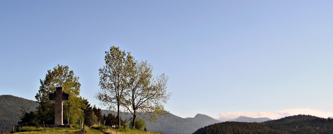 Découverte des arbres du sentier du patrimoine