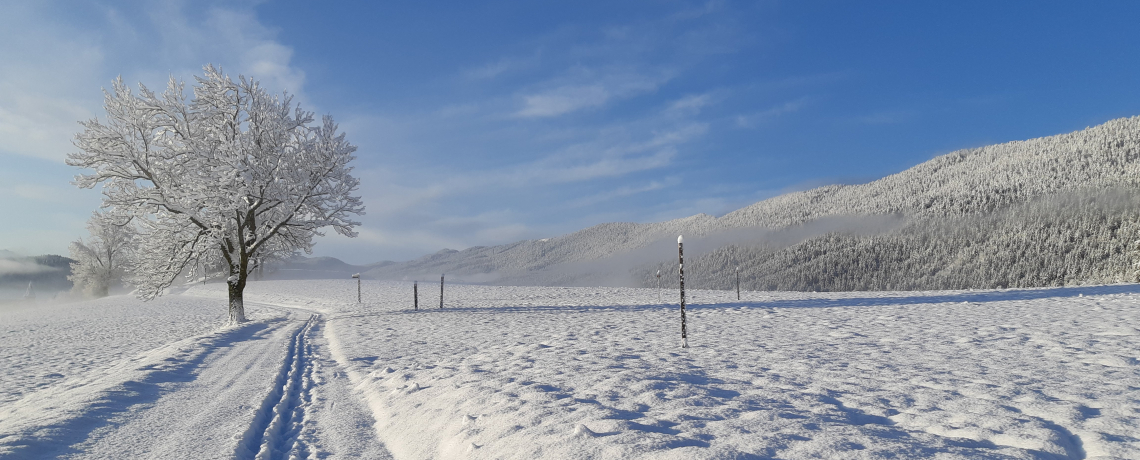 Le Grand Pré, itinéraire raquettes n°2