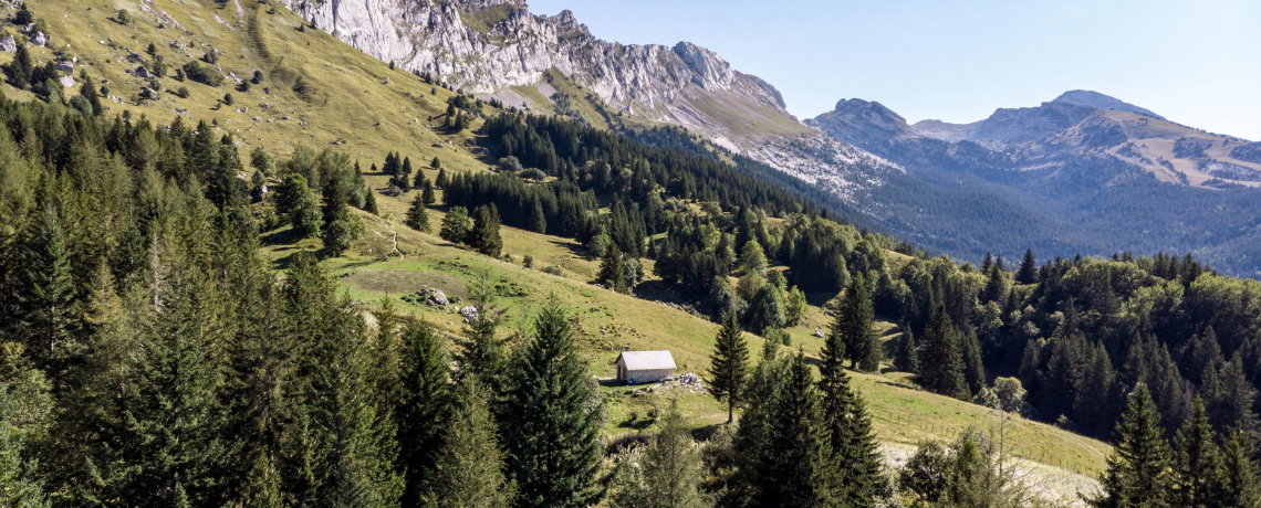 Vue sur la Cabane de Roybon