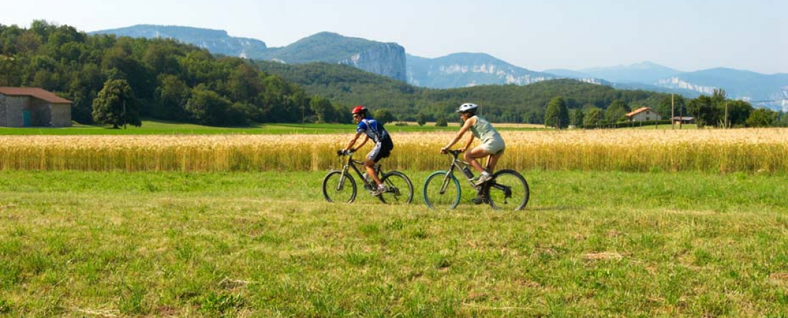 Base VTT Royans-Coulmes | Circuit 04 : Les Bruches