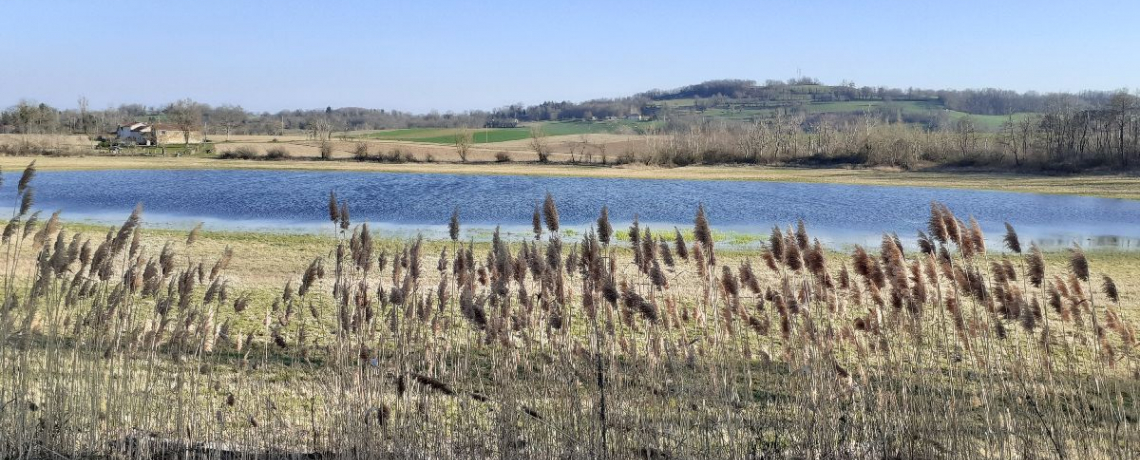 Les Lacs Clair, Jublet, Mort et Gris, Espace Naturel Sensible