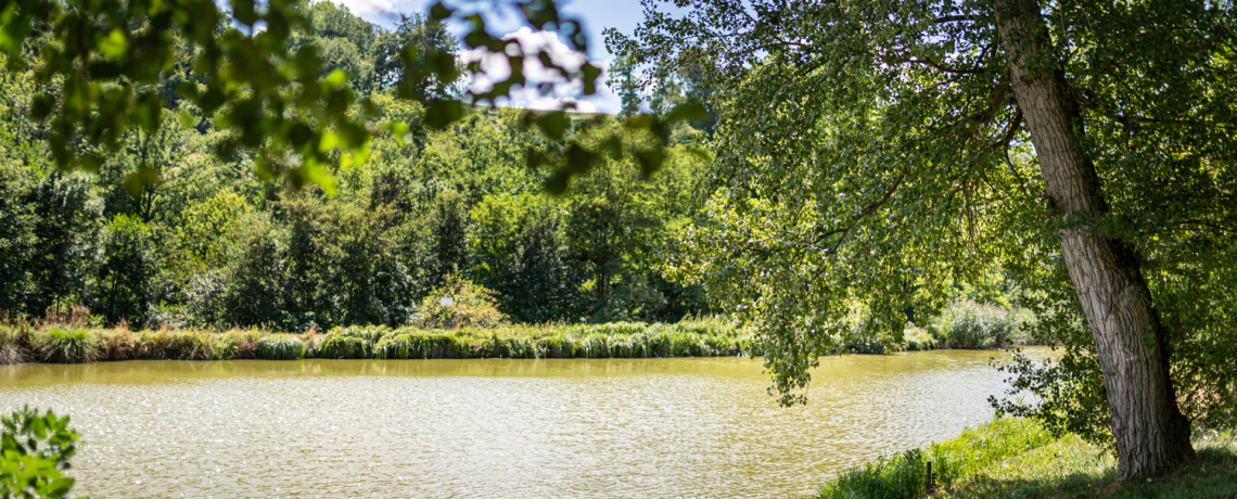 Etang du Batou