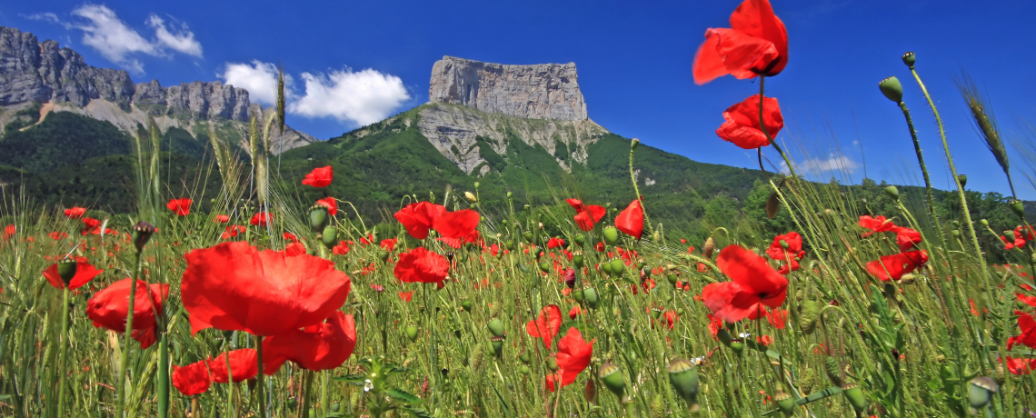 Ascension du Mont Aiguille - Séjour sans voiture