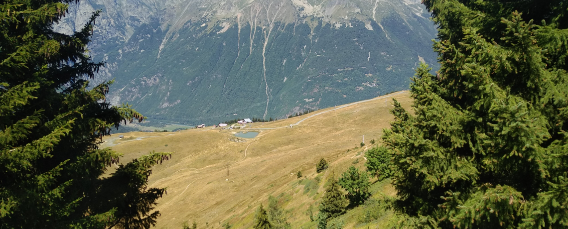 Rando trail - n4 Bleu - Col de Maronne