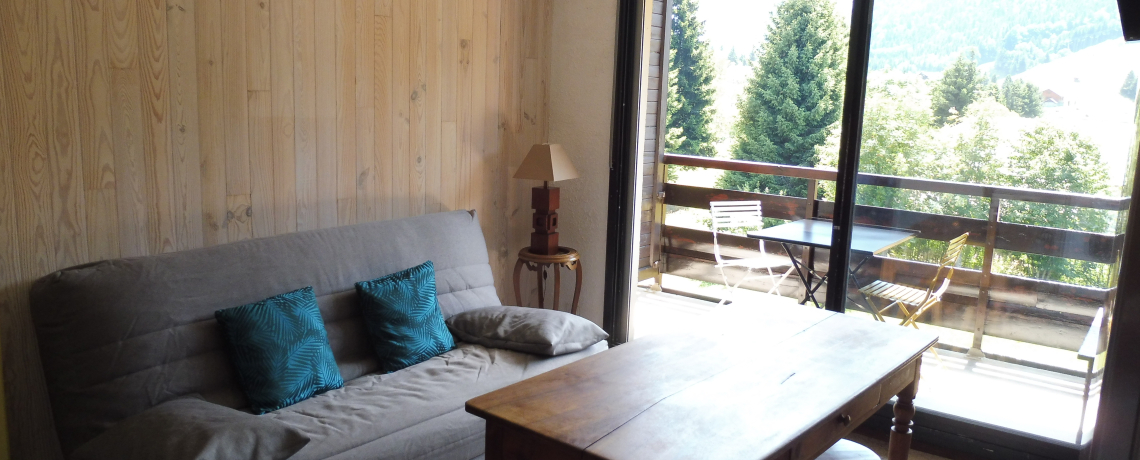 Appartement 6 personnes - Les Edelweiss -