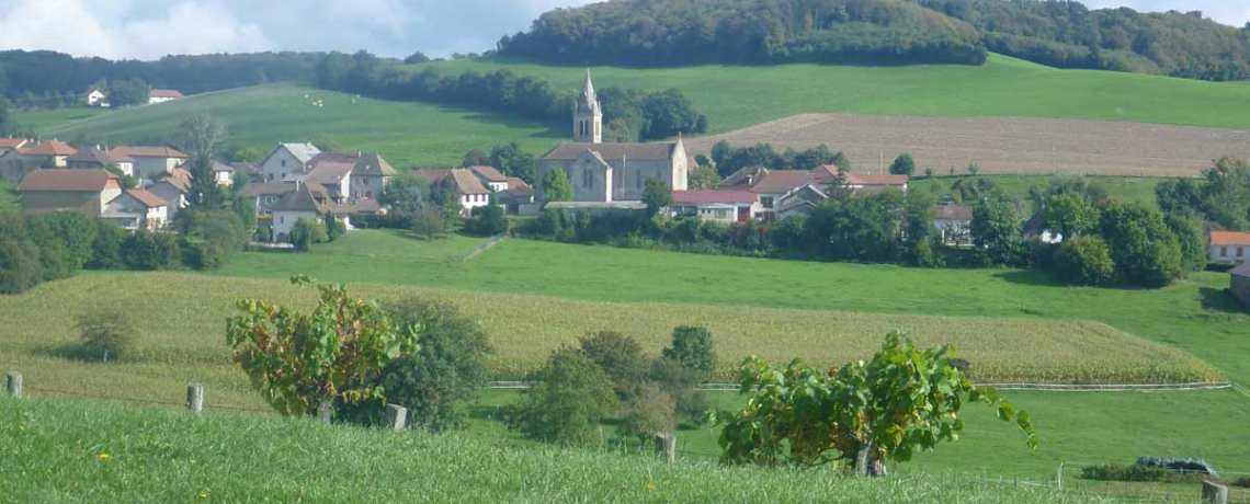 Chemins de Compostelle : St Genix sur Guiers - Condrieu