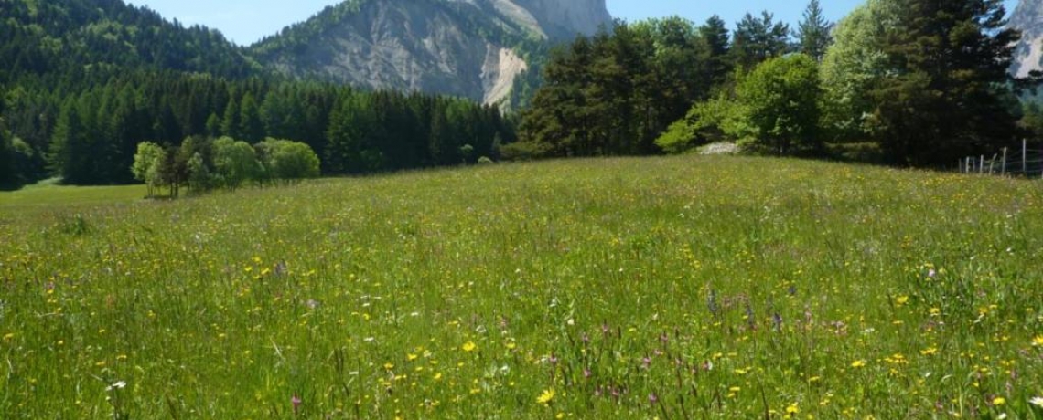 Mont Aiguille en été