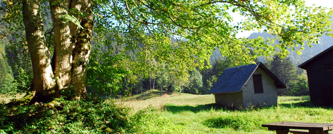 Chartreuse de Prmol