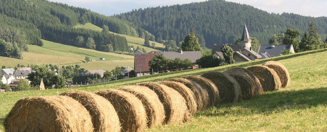 12 A la découverte des deux villages, départ Autrans, circuit VTT n&amp;#176;12 bleu