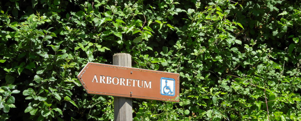 Arboretum