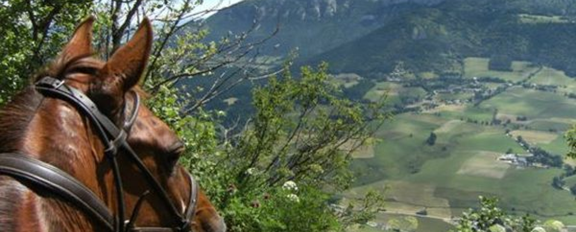 Ballade  cheval avec vue sur le plateau du Vercors - Le Haras du Vercors