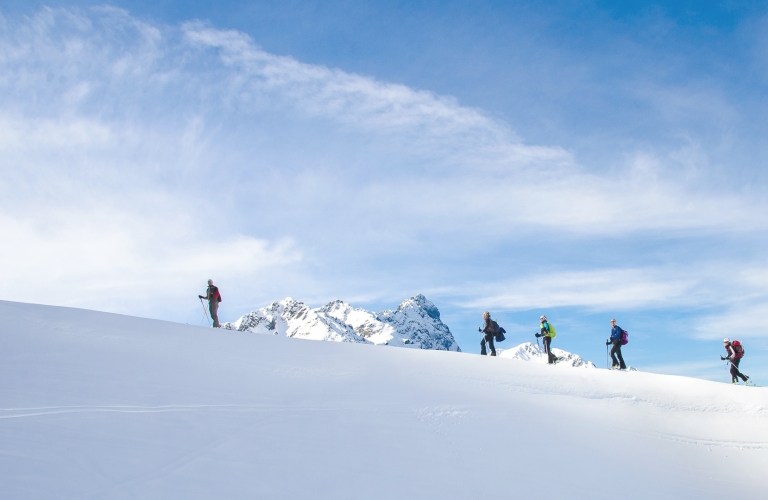 L'Alpe du Grand Serre