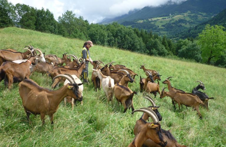 La Ferme de Labérou