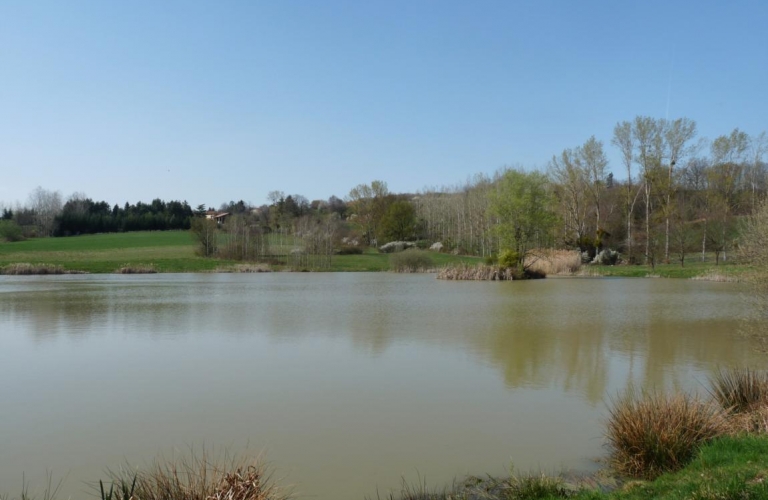 carpodrome de Terre Neuve