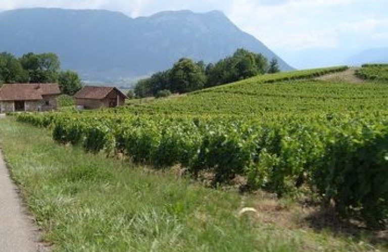 Domaine des Grandes Combes