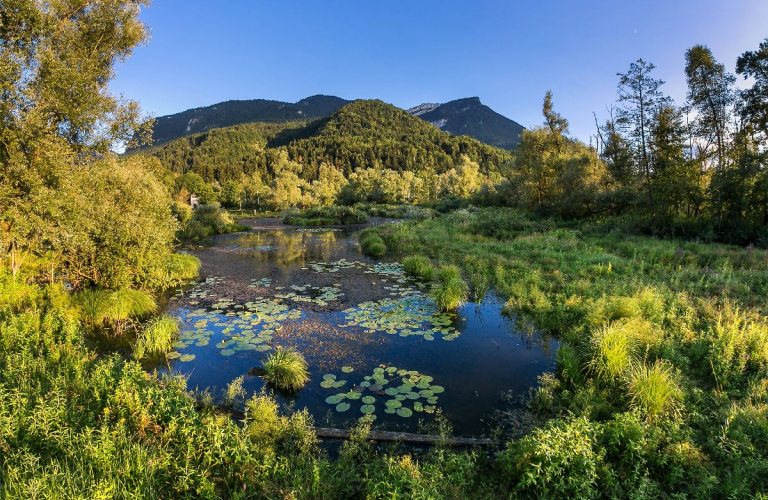 Espace Naturel Sensible des Tourbières de l&#039;Herretang