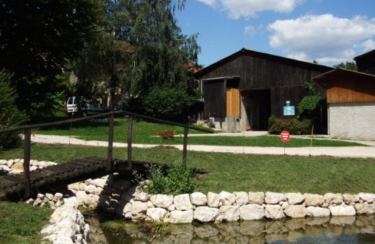 Vente de fromages de vache à la ferme des Prés du Bourg