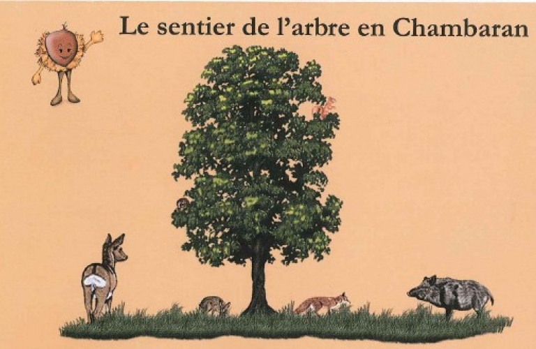 L’Arbre en Chambaran