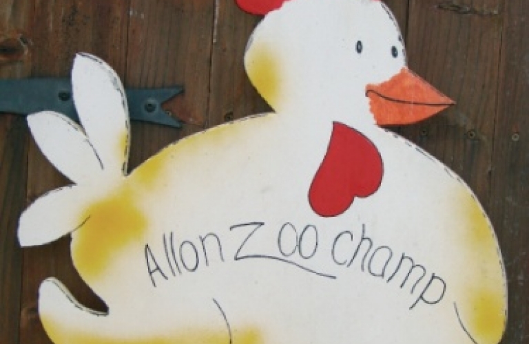 Visite de la ferme Allon Zoo Champ