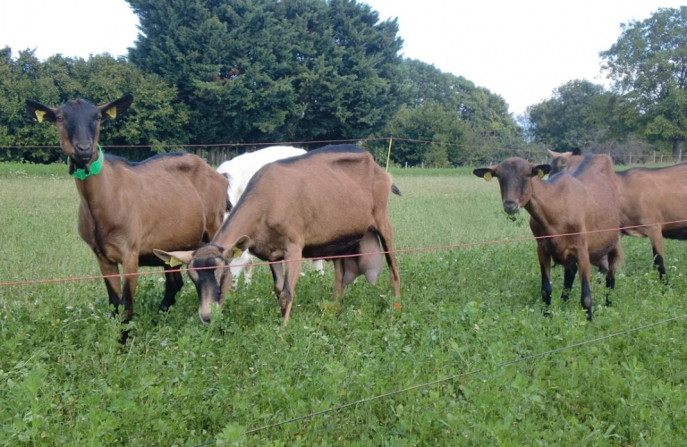 GAEC La Chèvrerie de Mauchamp