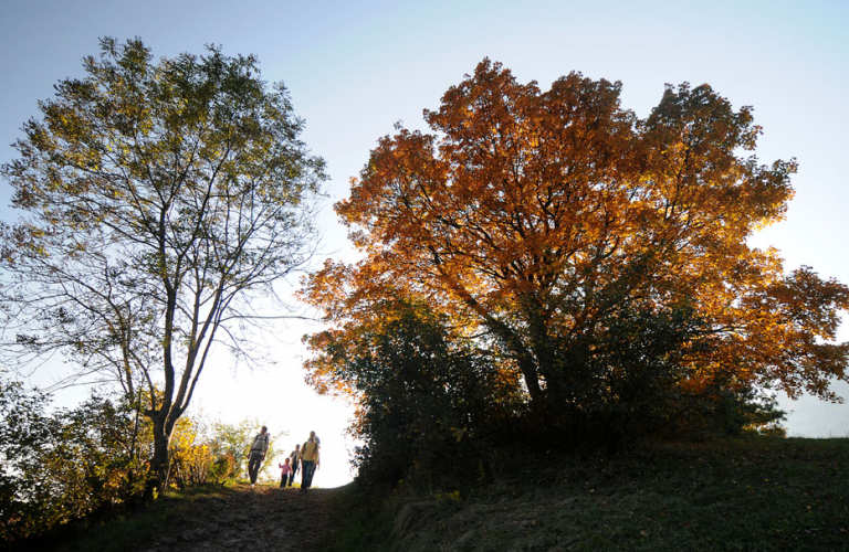 Eco-balades, guides Nature