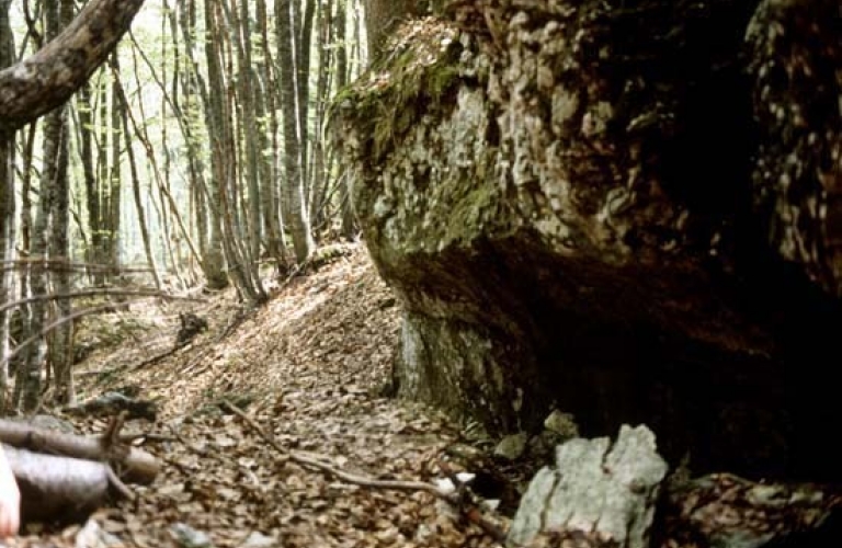 La grotte de Bury