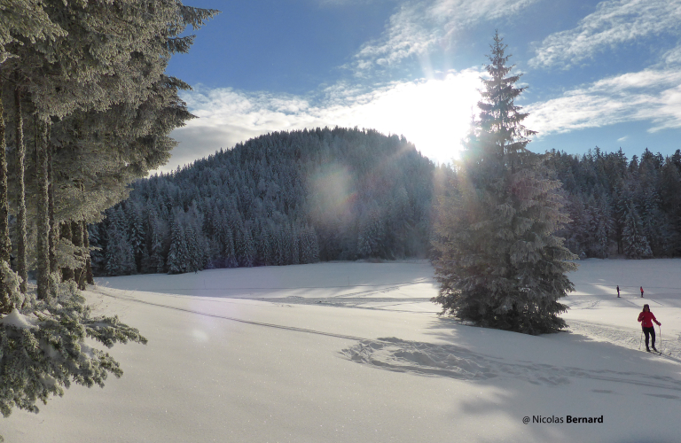 Les pistes de ski de fond