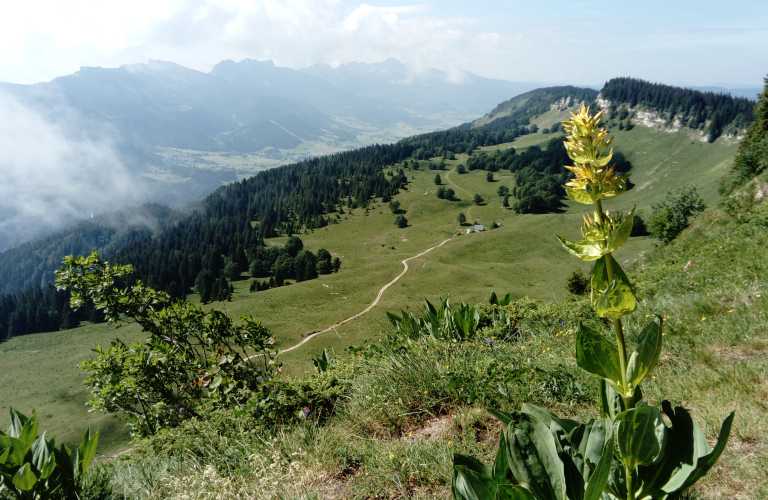 Randonnée de crêtes en vallons - Bureau des Guides