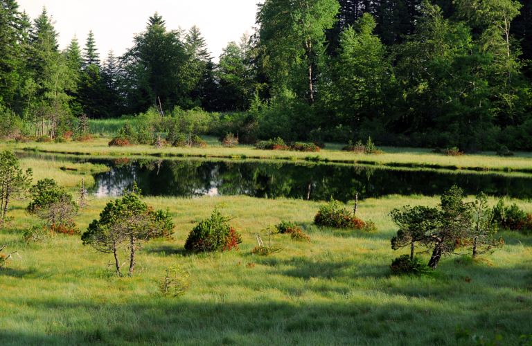 Rserve Naturelle du Luitel