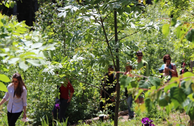 Jardin pédagogique des plantes culinaires et médicinales de Chartreuse