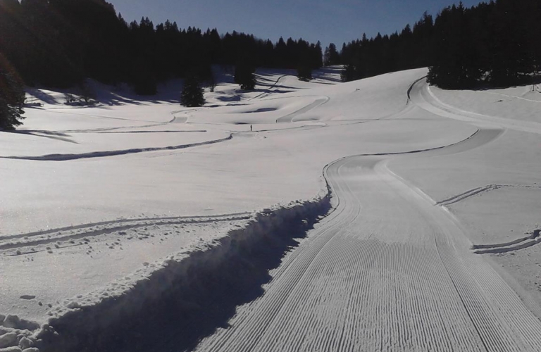 les pistes