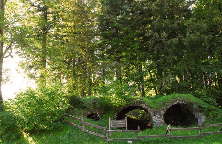 Ruines Chartreuse de Prmol Vaulnaveys le haut