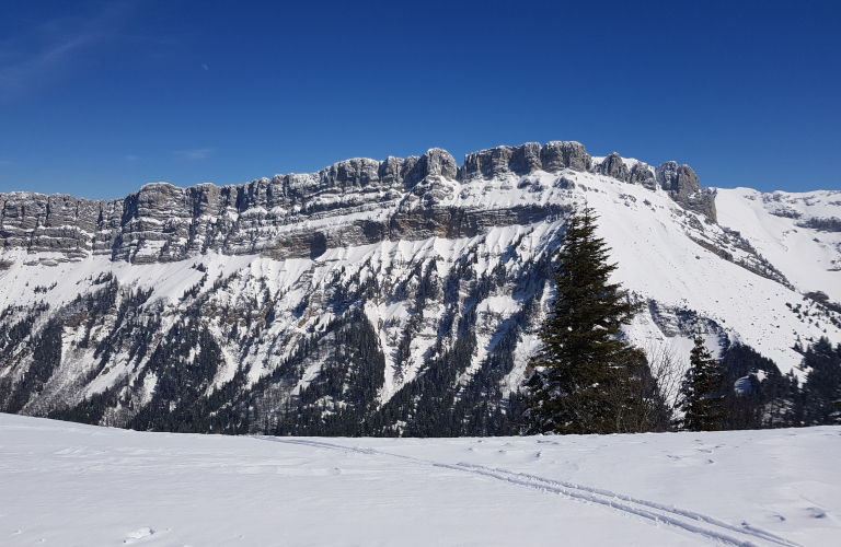 INITIATION SKI DE RANDONNEE