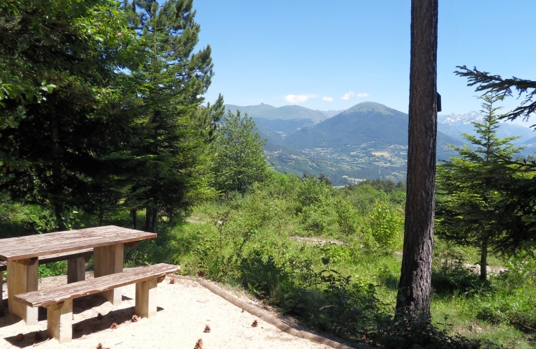 L&#039;Arboretum de Saint-Sébastien