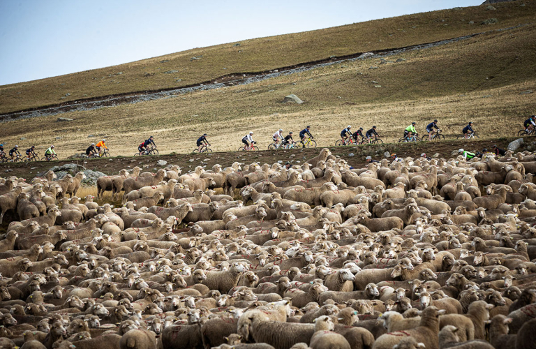 Haute Route Alpes