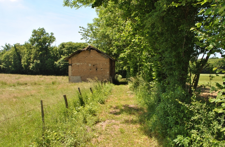 Rando pedestre Rives  Champ du Loup