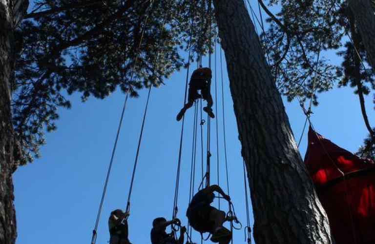 Grimpe encadrée dans les arbres