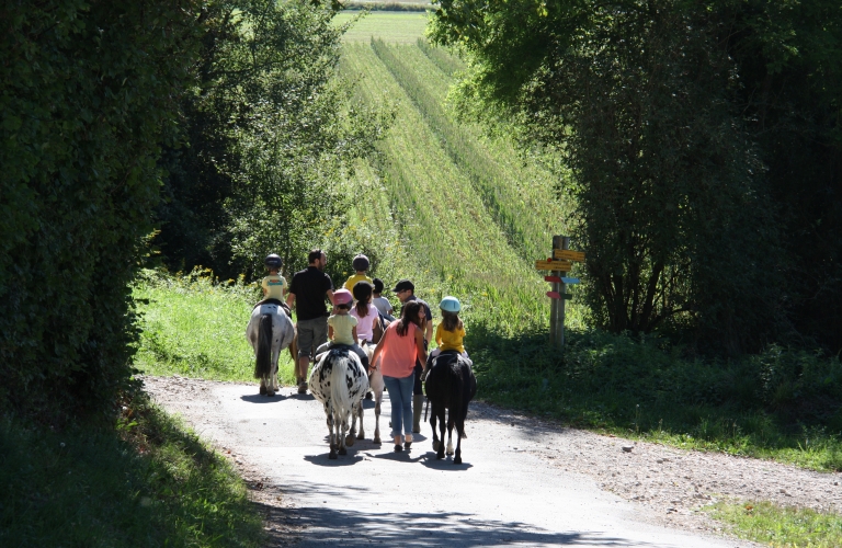 Equitation aux Ecuries de Crossey