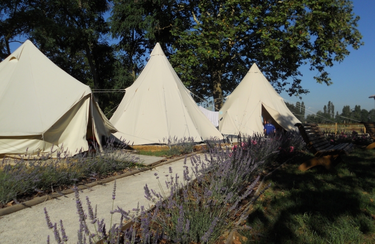 Séjour tipi et équitation au Poney Club de Sardieu