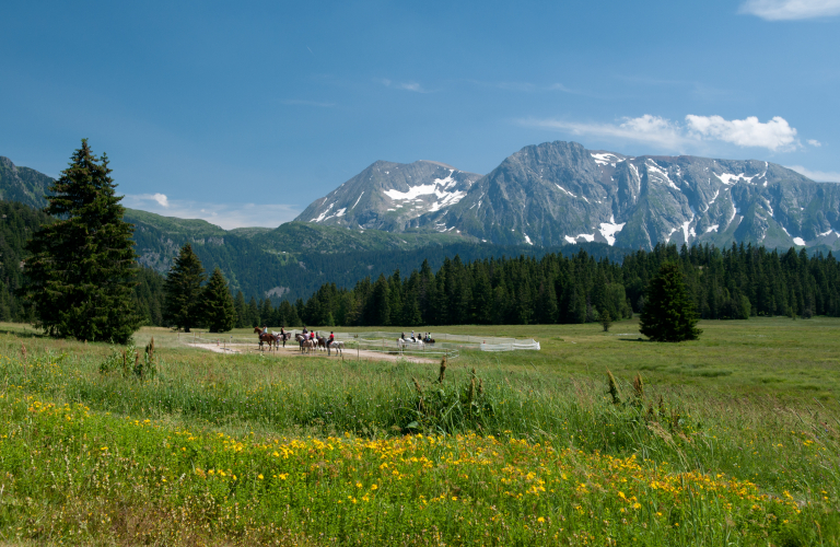 Photo du Plateau de l'Arselle en t