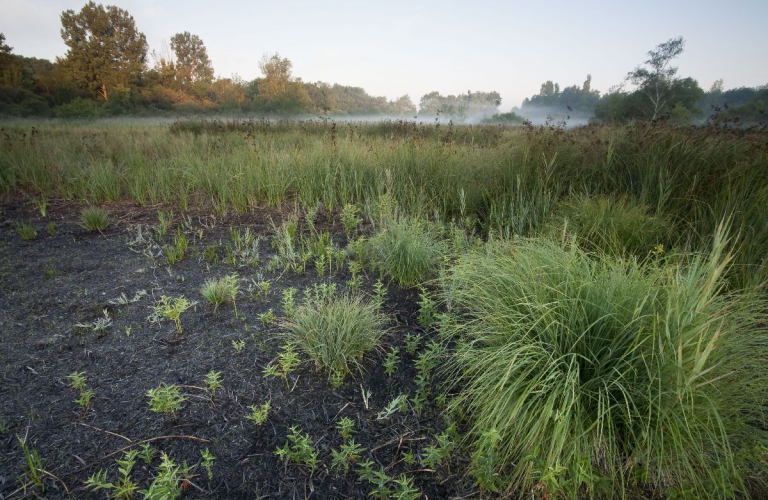 Espace Naturel Sensible Marais de la Lchre