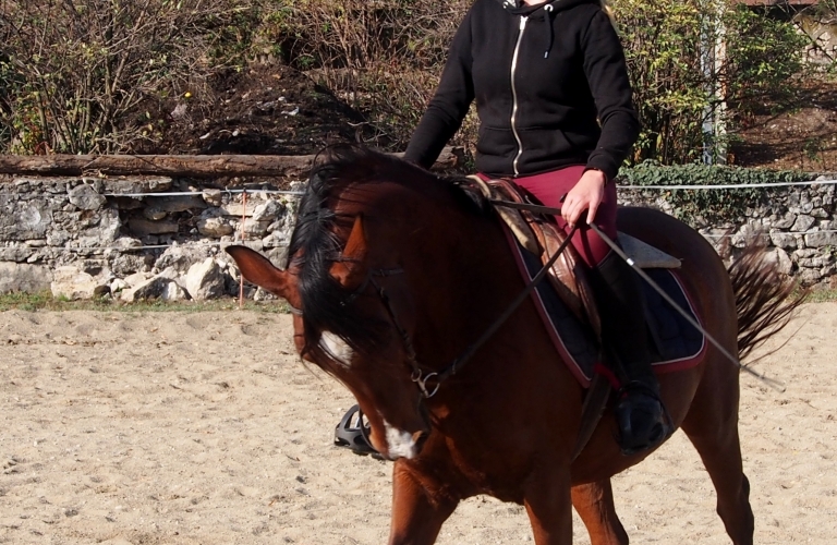 Leçons d&#039;équitation de pleine nature pour les adultes à la ferme équestre du Vercors