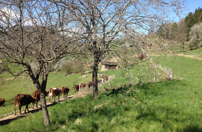 Ferme de la Grangette