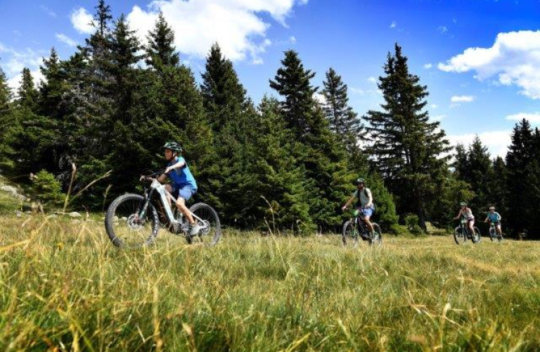 Photo VTT sentier Chamrouse