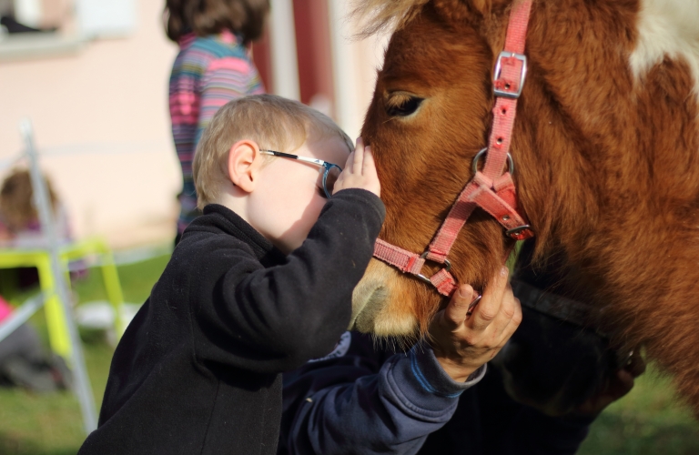 Pony party à la ferme