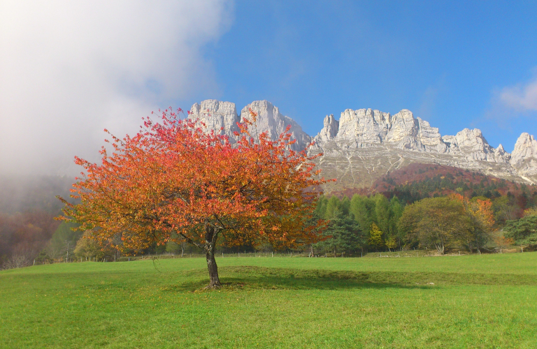 4. Du Grand-Veymont aux Deux-Sœurs