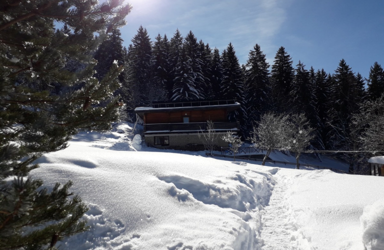 Chalet de la Conversaria Gite de groupe 10 14 personnes Villard de Lans Station de ski Chiens de traîneaux